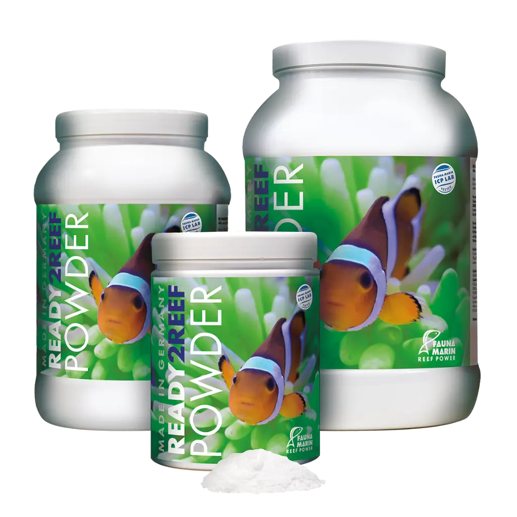 Ready2Reef_Powder_Gruppe_Mat_frei_CMYK_ND.webp