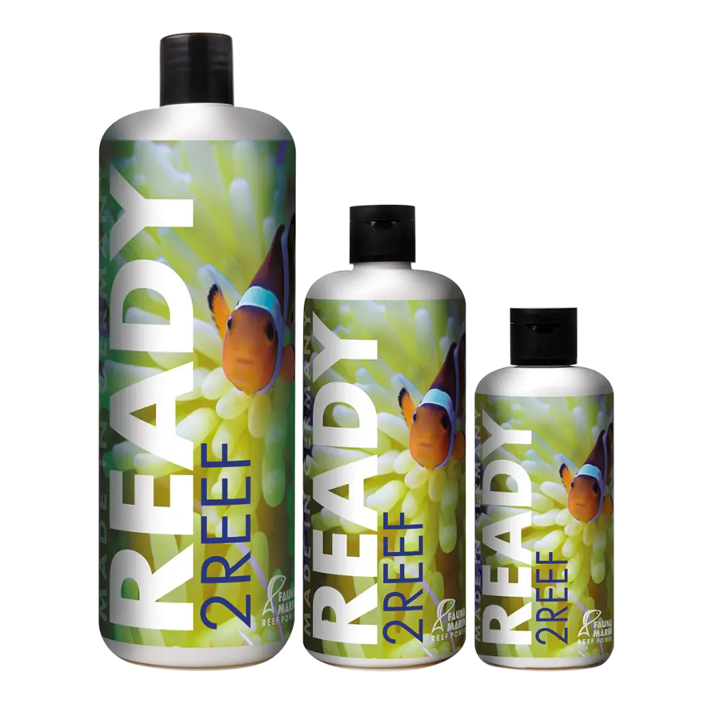 Fauna Marin Ready2Reef Solution Group