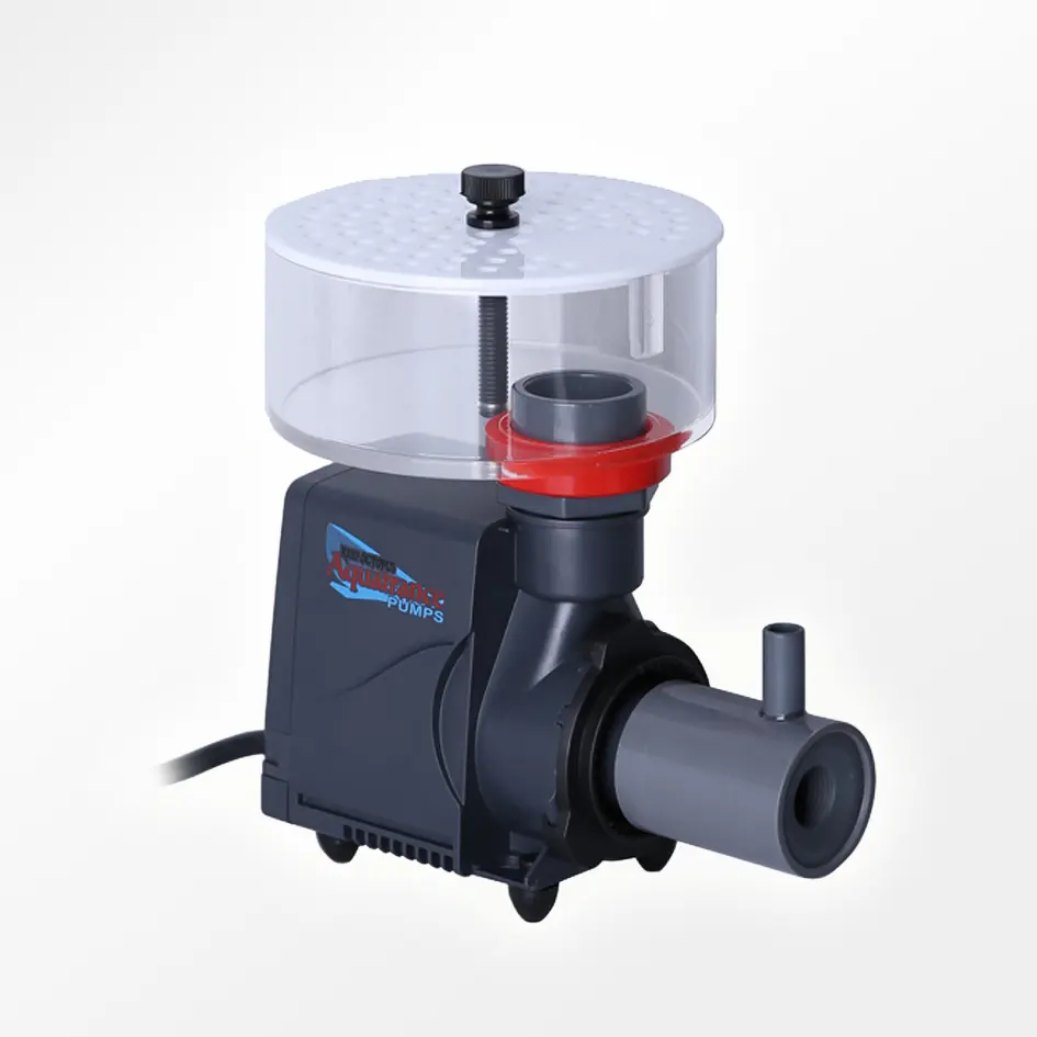ClassicNWB_SSS_pump.webp