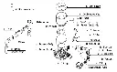 Explosion-Chart-for-Classic-110-EXT.webp