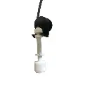 file-2.webp