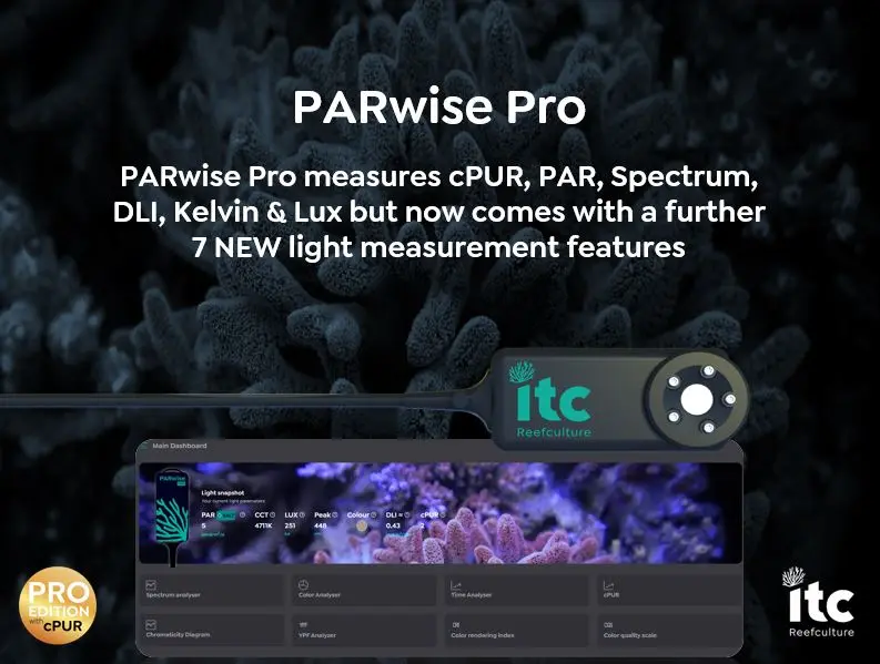 ITC Parwise PRO 8.webp