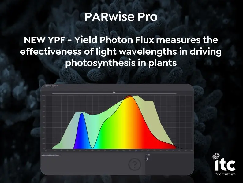ITC Parwise PRO 9.webp