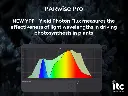 ITC Parwise PRO 9.webp
