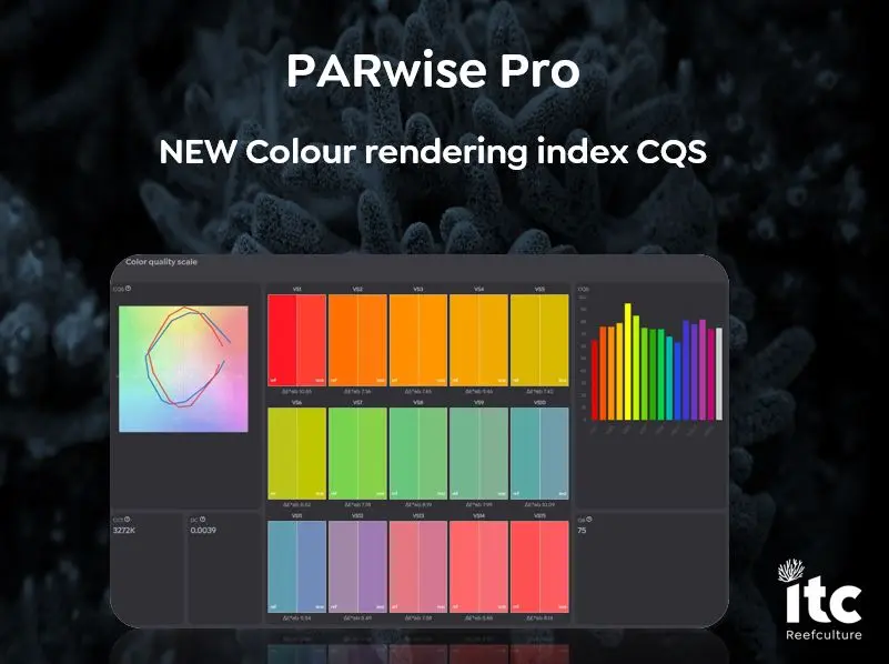 ITC Parwise PRO 2.webp