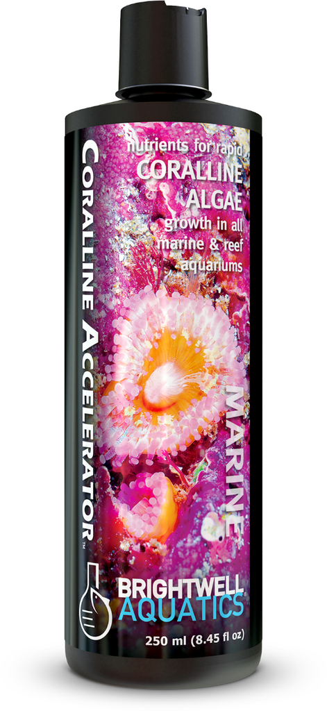 Brightwell Coralline Accelerator, 250ml