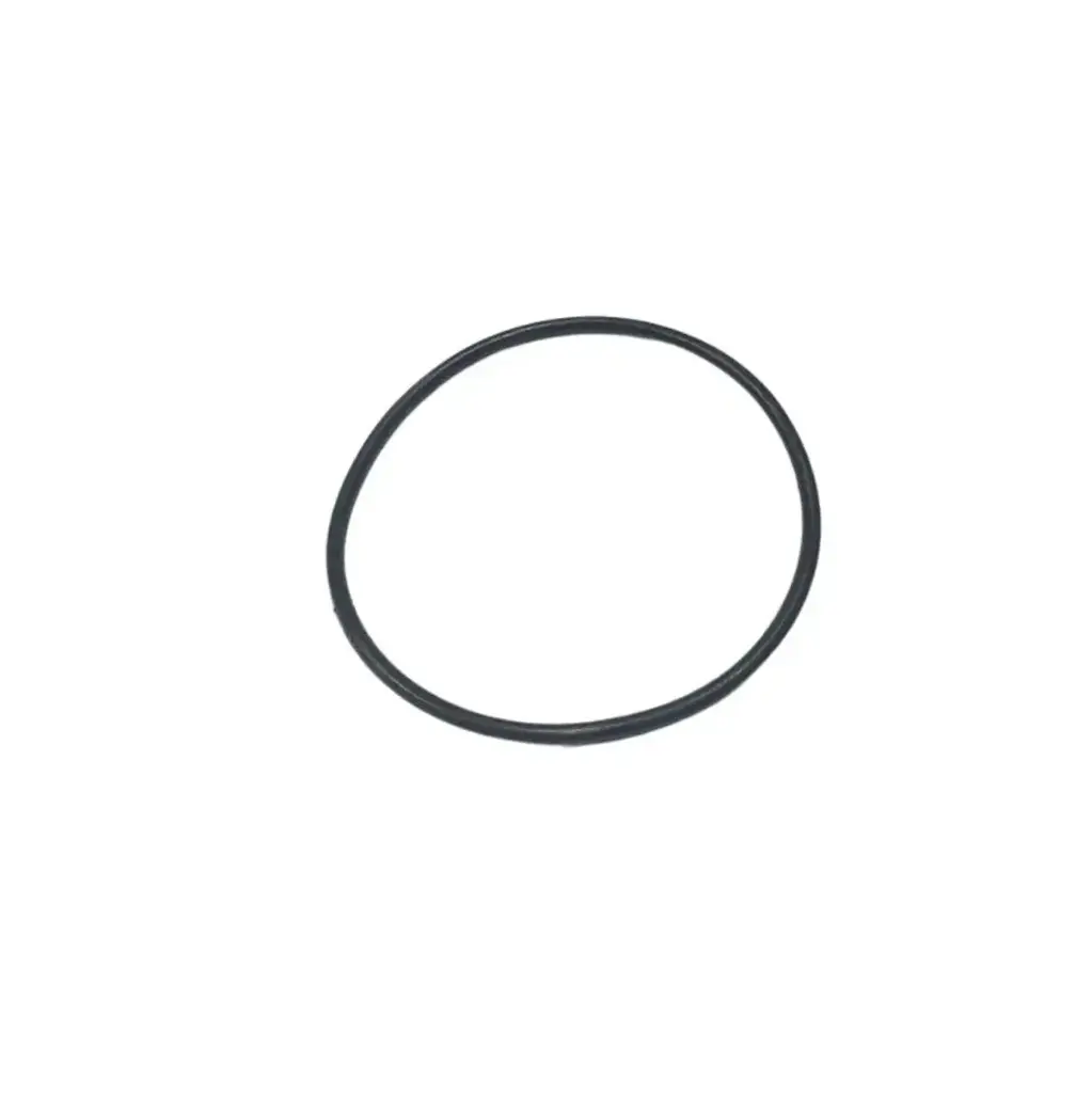 IceCap Reverse Osmosis Canister O-ring