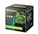 Dymax Crystal Cultivating Pot