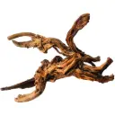 [IC-WDRS] IceCap Dragon Root, Small (23in-36in)