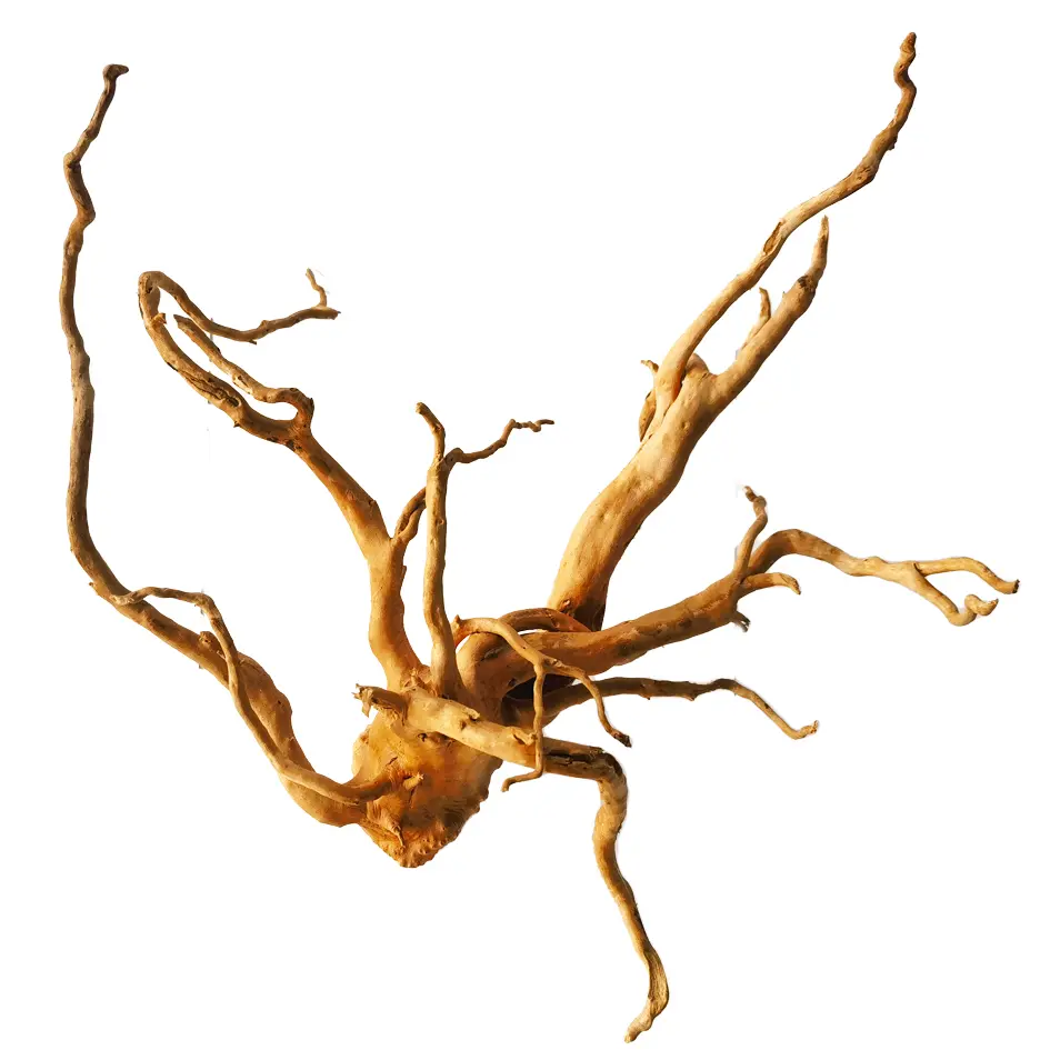 IceCap Spider Wood, XLarge (30in-40in)