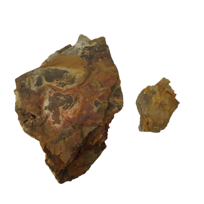 IceCap Petrified Wood, 44lbs
