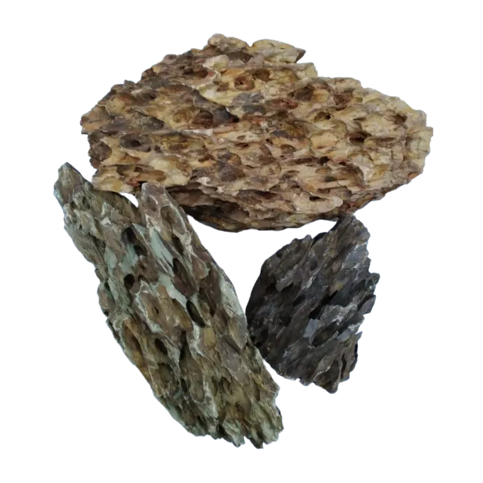 IceCap Dragon Stone, 44 lbs