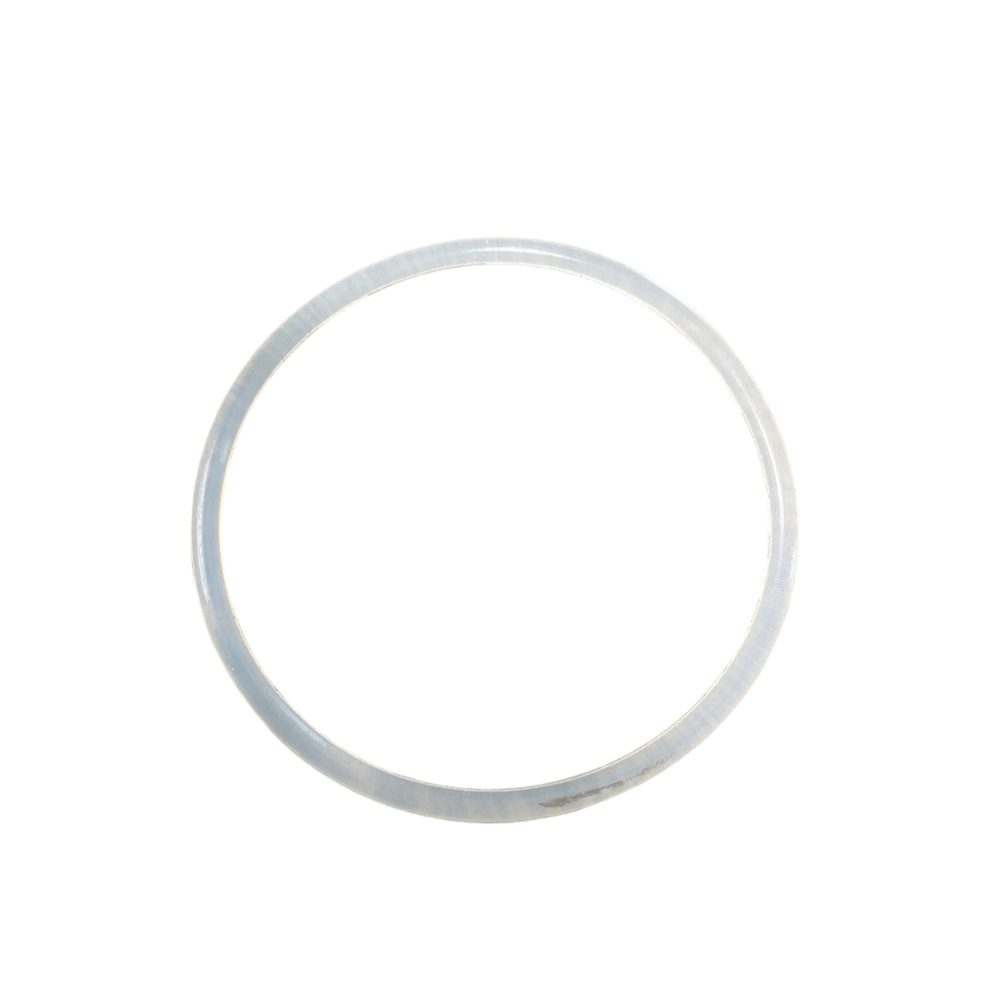 Octo BR70 BioPellet Reactor O-Ring