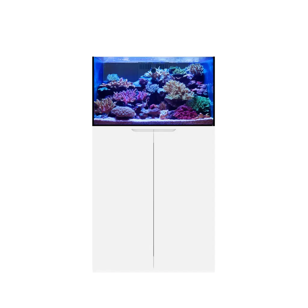 Eshopps Mariner M40 Rimless 40-Gallon Reef-Ready Aquarium, White Stand 