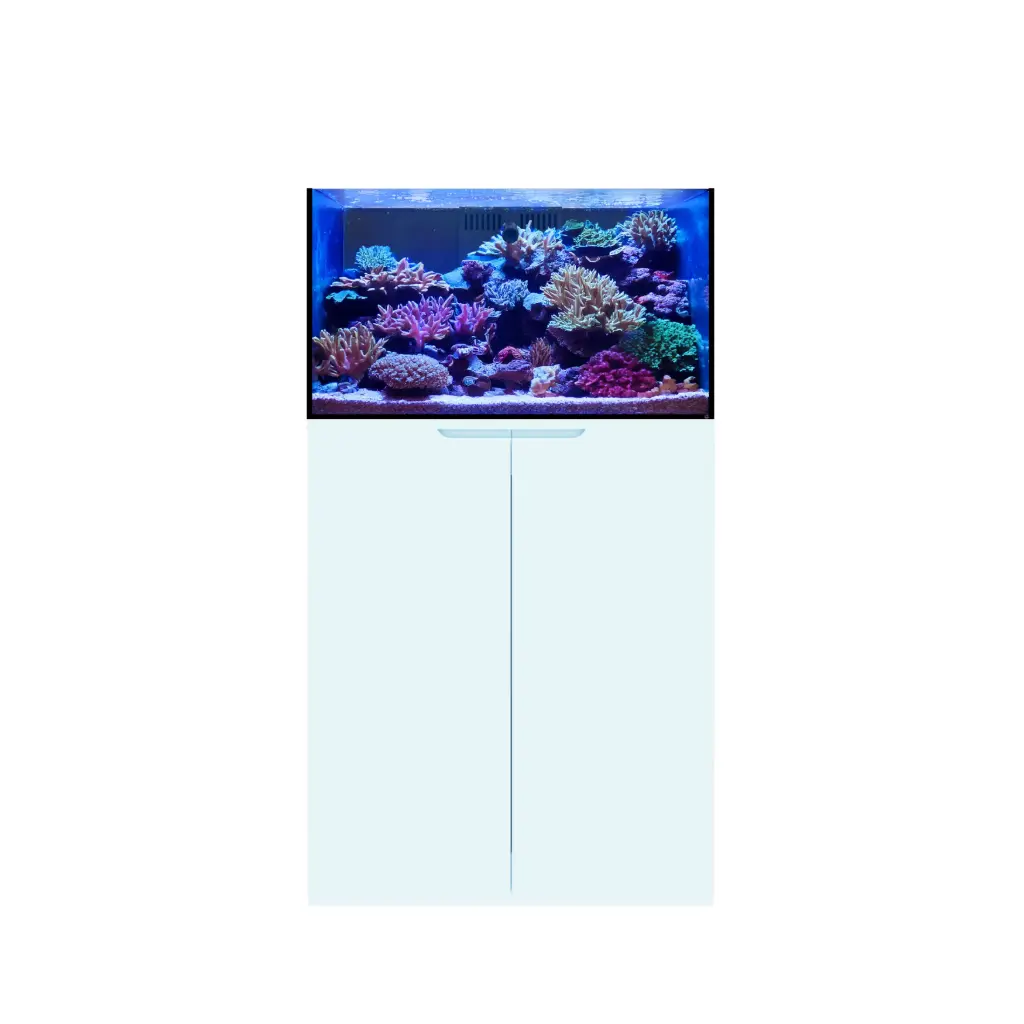 Eshopps Mariner M40 Rimless 40-Gallon Reef-Ready Aquarium, Light Blue Stand 