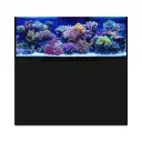 Eshopps Mariner M130 Rimless 125-Gallon Reef-Ready Aquarium, Black Stand 