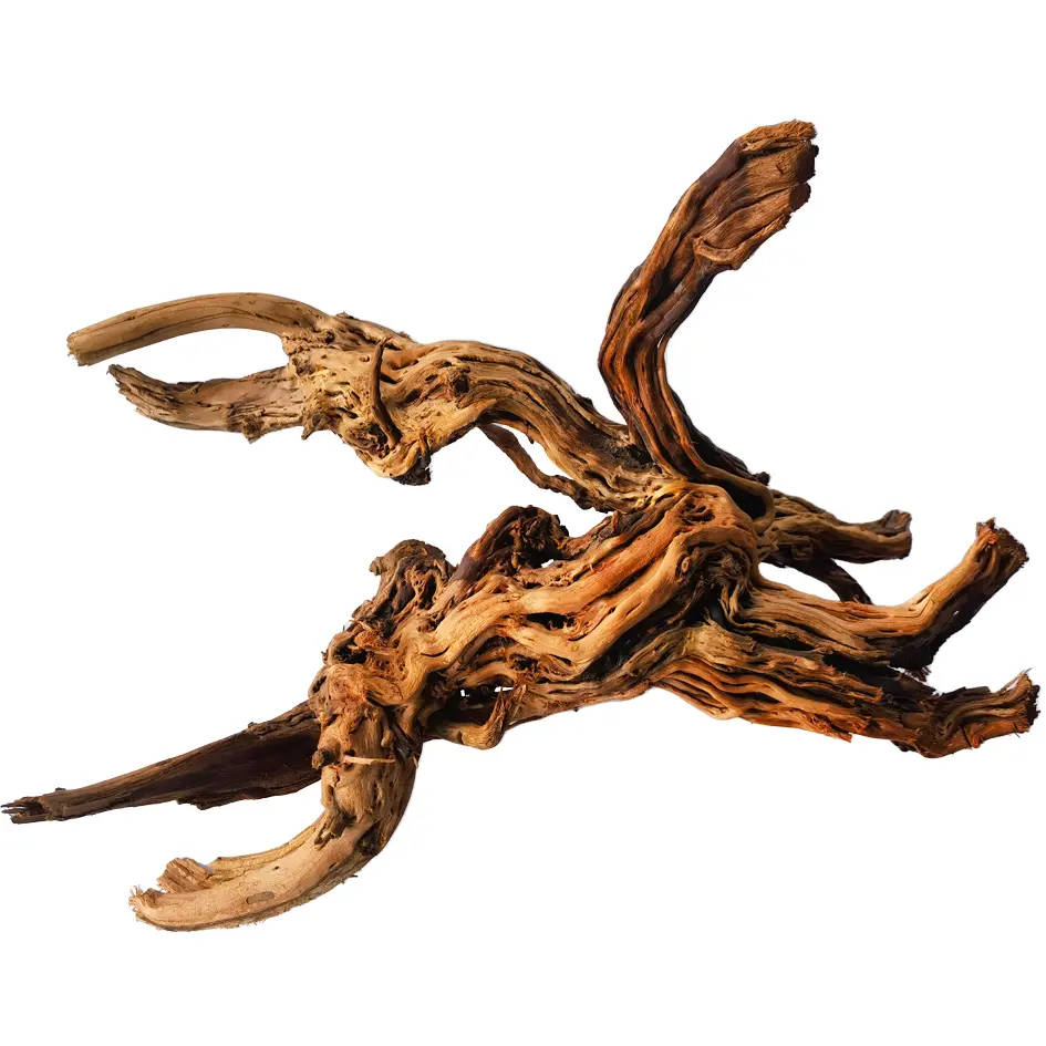 IceCap Dragon Root