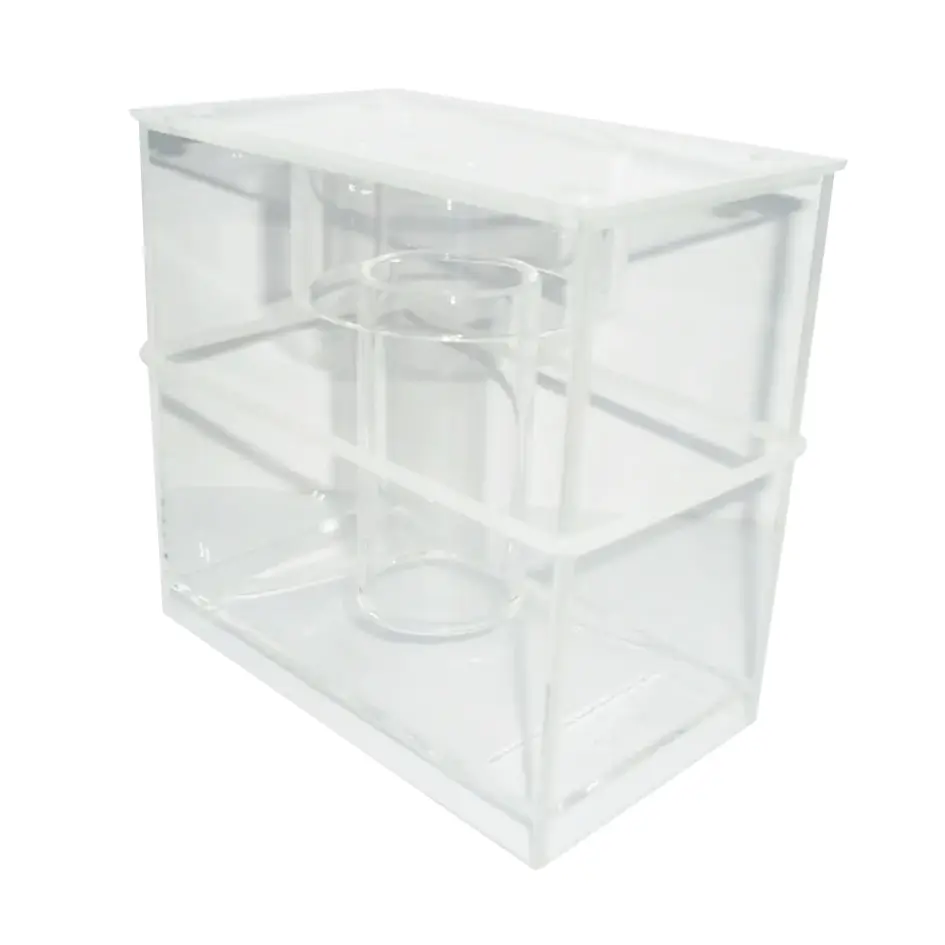 Octo Classic 100HOB Collection Cup