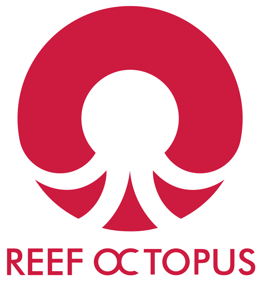 Brand: Reef Octopus