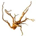 IceCap Spider Wood, Small (10in-15in)