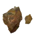 IceCap Petrified Wood, 44lbs