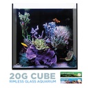IceCap All-In-One Cube Aquarium, 20-Gallon