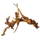 IceCap Mopani Wood